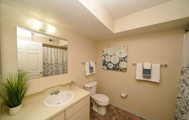 Spacious Bathrooms at Green Ridge Apartments, Grand Rapids, MI 49544