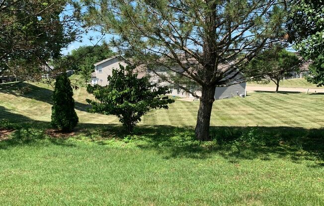 Beautiful House in nice family neighborhood!