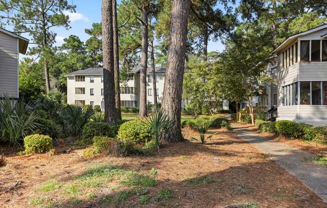 A tree in a yard with a house in the background.