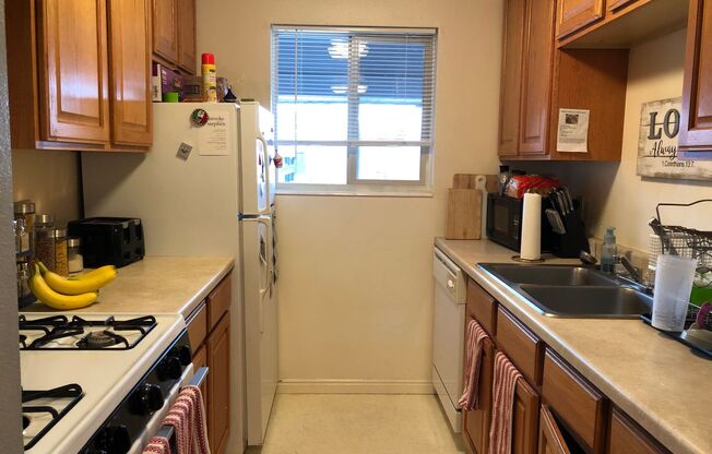1B/1B Pet Friendly Apartment South of BYU