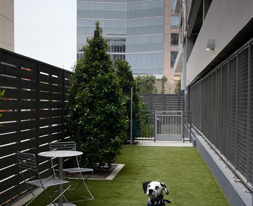 dog park at Kinley West LA, California