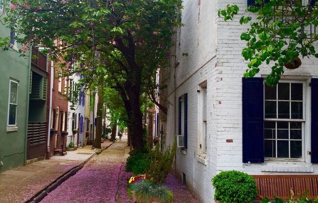 Spectacular 2-Bedroom End of Row Townhome in Fitler Square! Available mid-August!