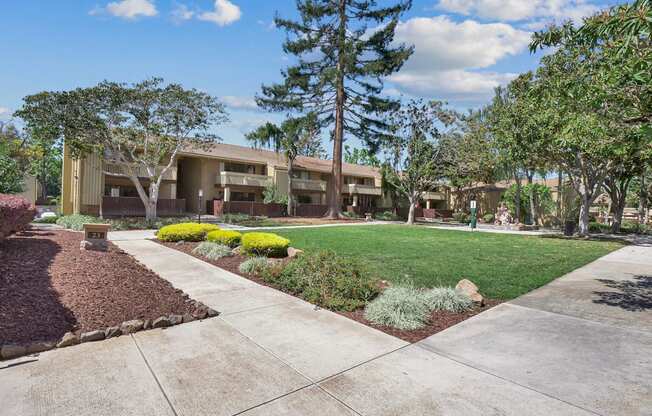 a sidewalk leading to a building with a lawn and trees at Summerwood Apartments, Santa Clara, 95050