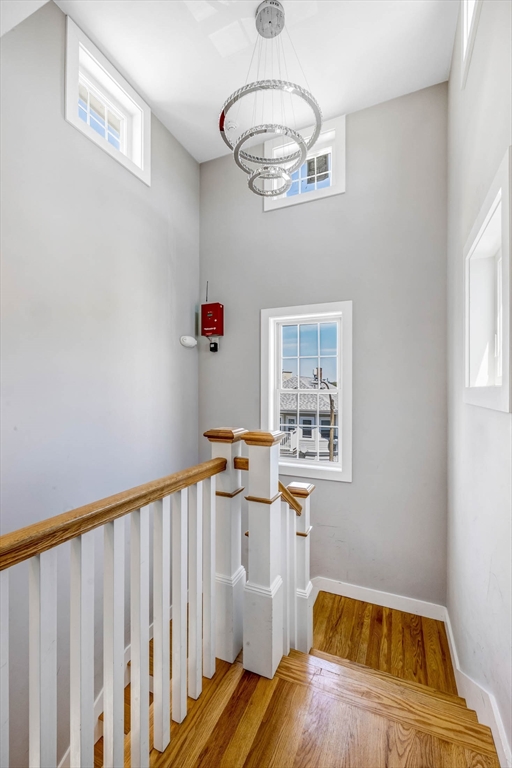 8 West Bellflower