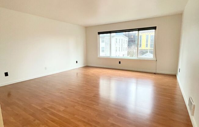 Studio, 1 bath, 464 sqft, $1,425, Unit 304