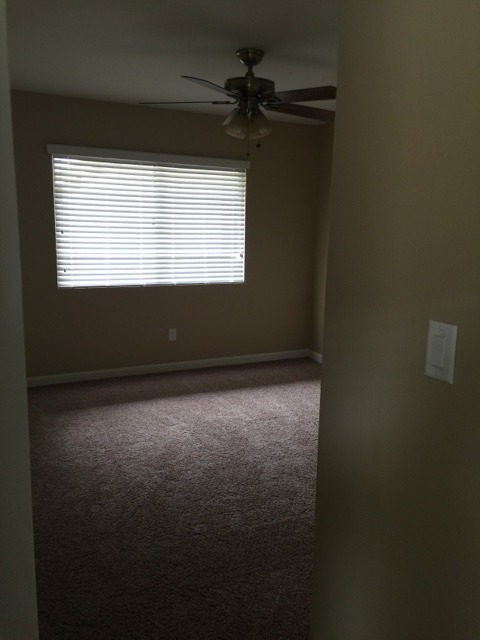 SEMINOLE DRIVE