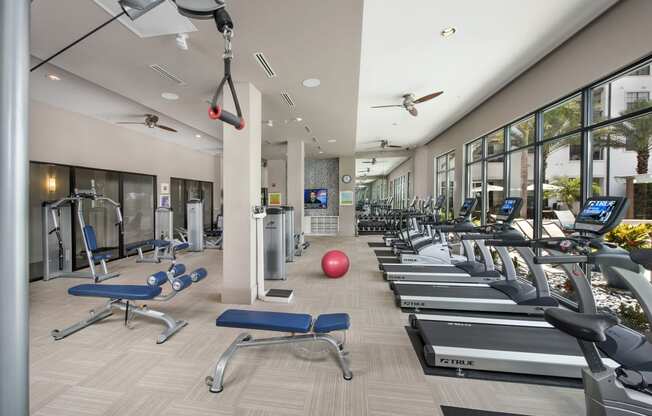 a gym with weights and cardio equipment and windows