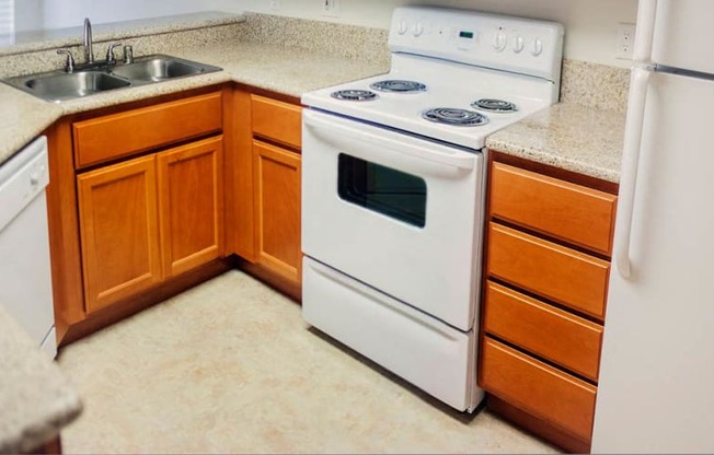 Kitchen Counter and Appliances