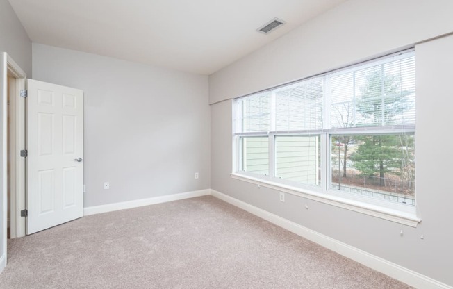 Drum Hill 2 Bedroom Apartment bedroom two with plush carpeting and extra large window