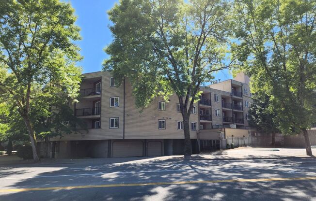 1 bed, 1 bath, $1,695, Unit # 304