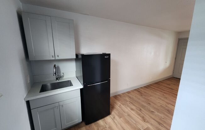 Studio, 1 bath, 550 sqft, $895, Unit 1