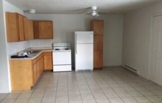 3 beds, 1 bath, 1,008 sqft, $895