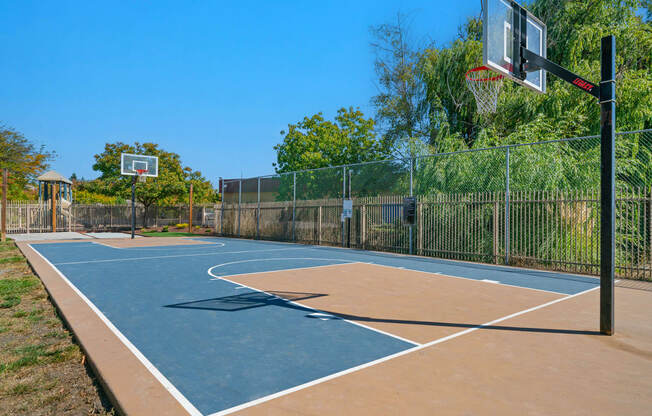 Outdoor basketball court - Mountain Shadows Apartments