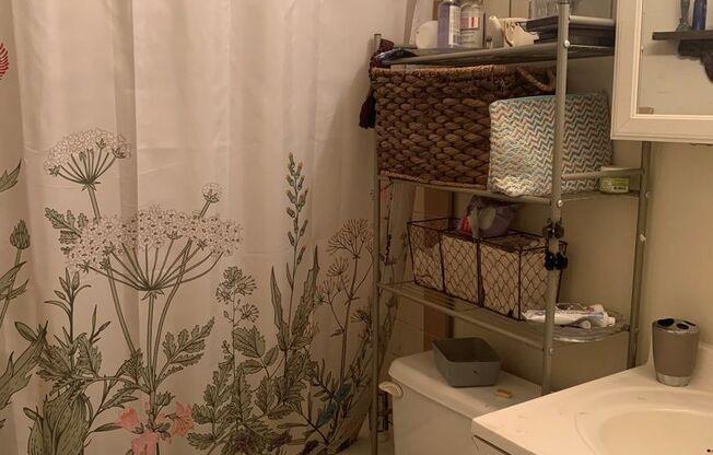 Studio, 1 bath, $1,129, Unit B07