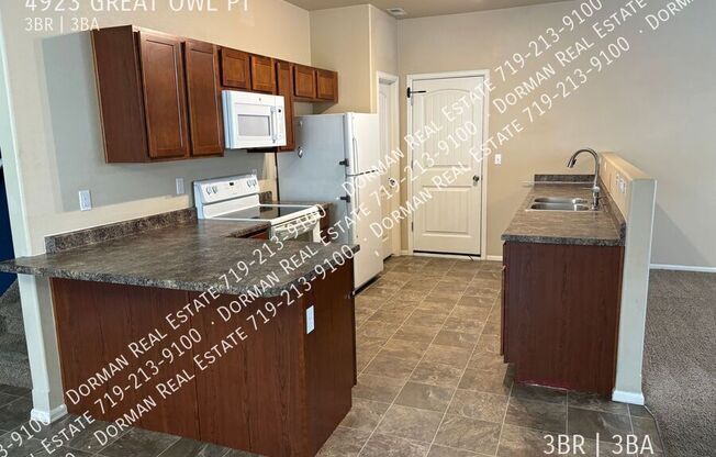 4923 GREAT OWL PT