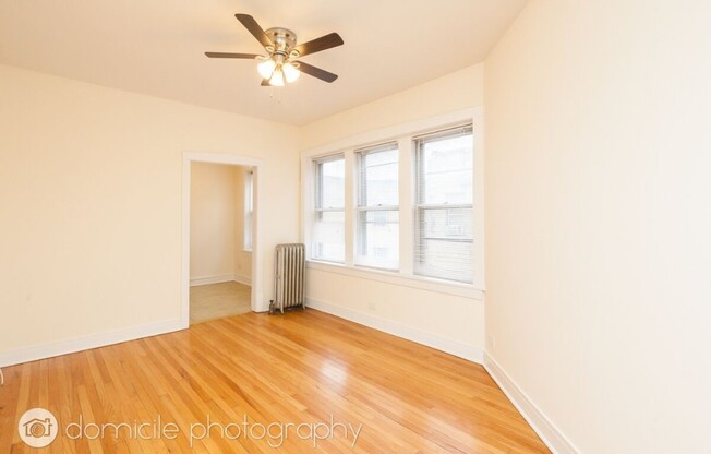 903 W Altgeld St, Chicago IL 3B
