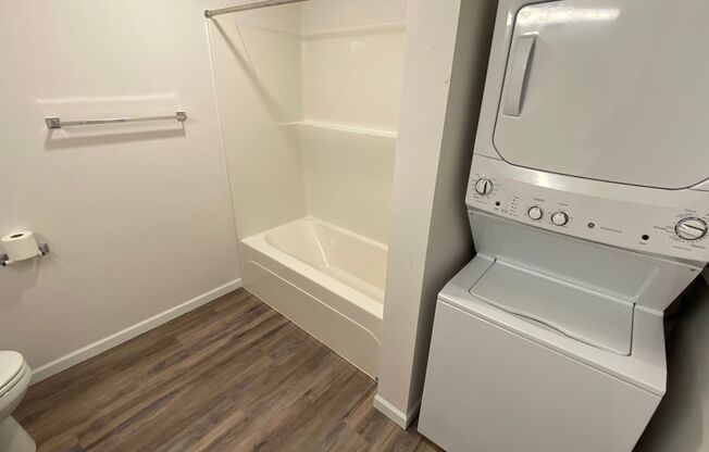 Studio, 1 bath, 391 sqft, $1,300, Unit 309