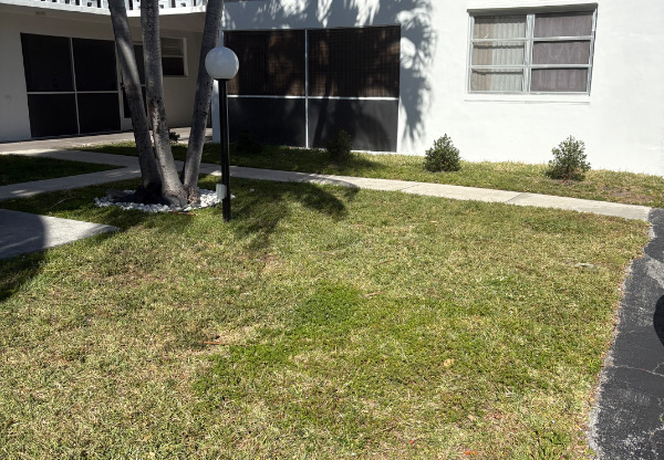705 NE 2 SAINT HALLENDALE BCH