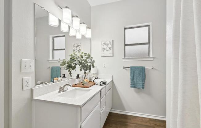 A white bathroom with a mirror, sink, and a plant.