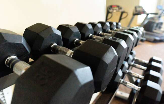 Free Weights at Cypress Pointe Apartments in Orange Park, FL