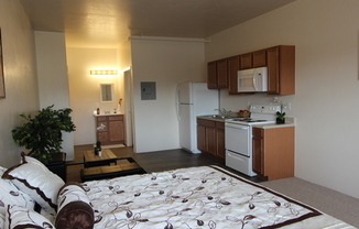 Updated unit close to CMU! Live without roommates at an affordable price!