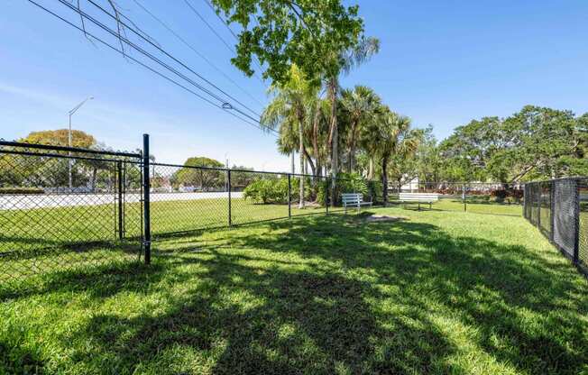 Apartments In Coconut Creek for Rent – Waterview at Coconut Creek – dog park with grassy area and palm trees in background