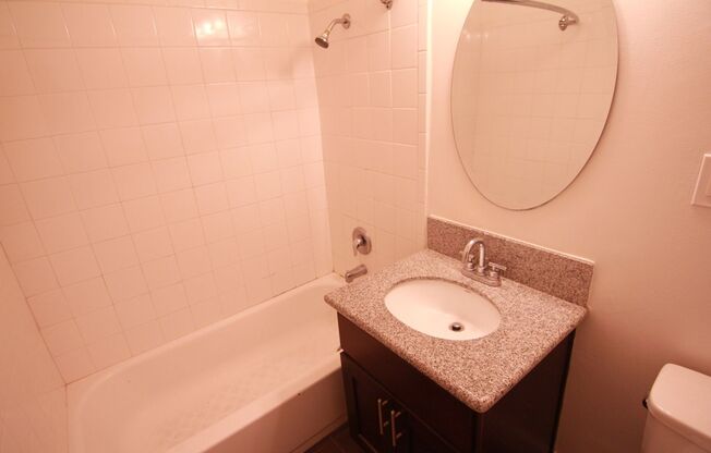 Studio, 1 bath, 350 sqft, $1,749, Unit 204