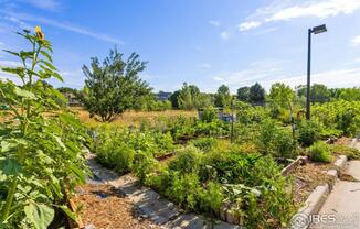 2 beds, 2 baths, 1,171 sqft, $1,950, Unit UNIT 11207