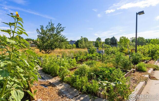 2 beds, 2 baths, 1,171 sqft, $1,950, Unit UNIT 11207