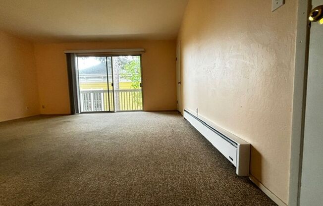 1 bed, 1 bath, $2,600, Unit unit 5