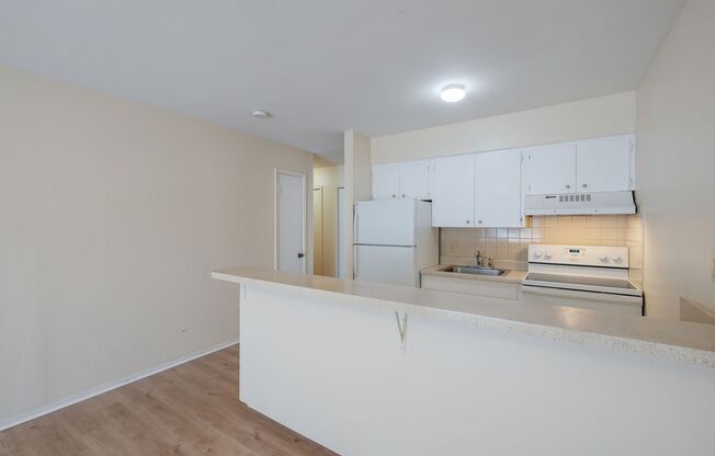 Studio, 1 bath, 445 sqft, $750, Unit 206