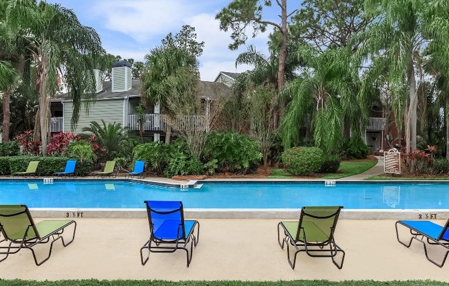 Pool area at our apartments in Clearwater, FL, featuring reclining chairs, palm trees, and a long pool.