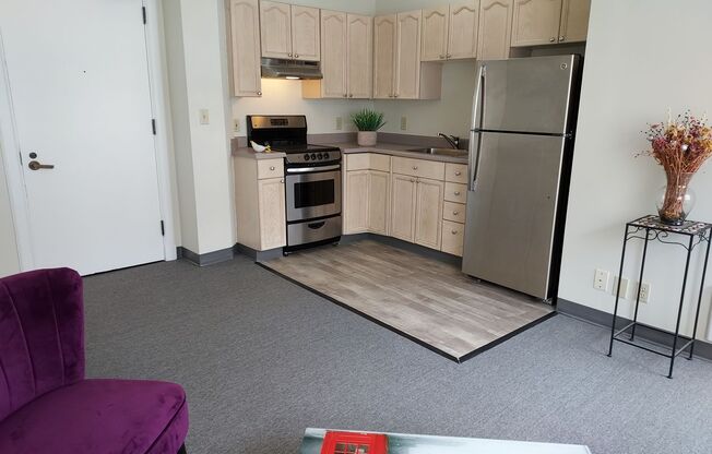 1 bed, 1 bath, 458 sqft, $1,700, Unit 1004