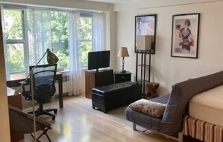 145 PINCKNEY FURNISHED