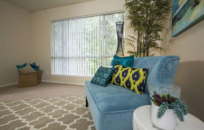 Model home living room and large window