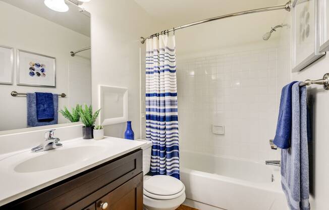 Soaking Tubs With Ceramic Tile at Westwinds Apartments, Maryland, 21403