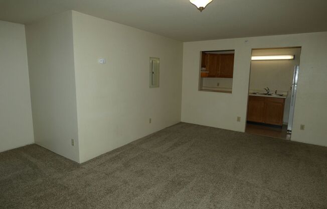 1 bed, 1 bath, 519 sqft, $1,150, Unit 231