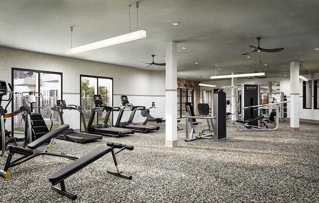 A gym with a variety of equipment including treadmills, weights, and a bench press.