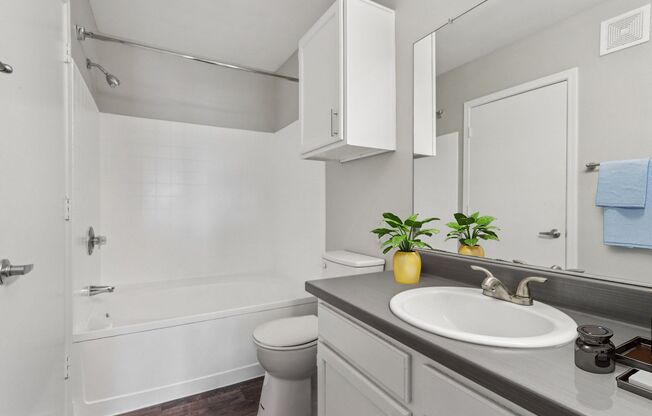 1 bed, 1 bath, 738 sqft, $1,175, Unit 319