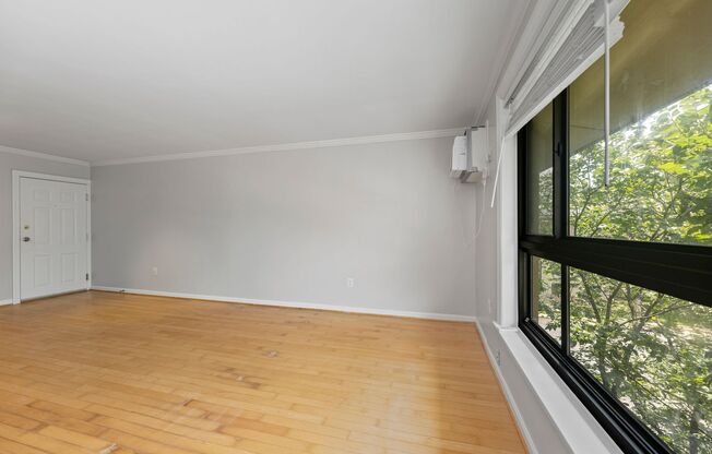 Newly Renovated Two Bedroom Condo! Parking!