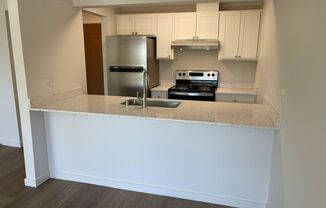 (1K) Kristine Apartments