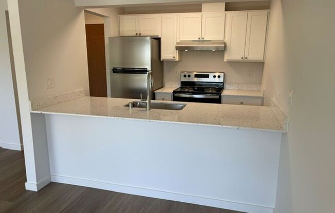 (1K) Kristine Apartments