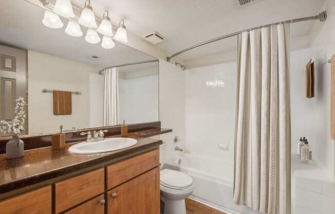 a bathroom with a sink and a toilet and a shower