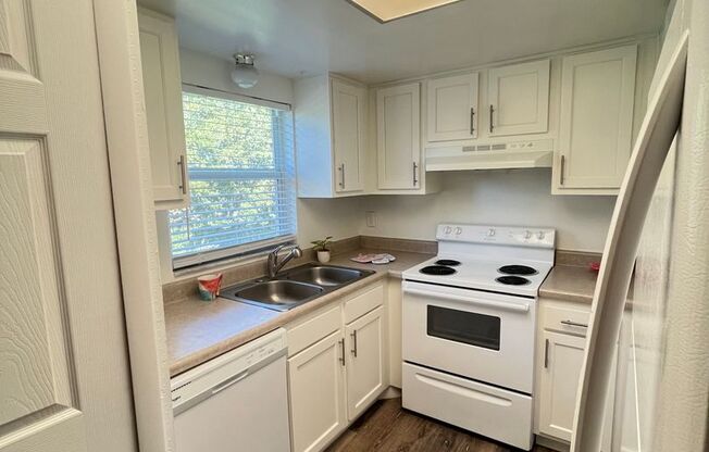 Spring Garden Apartments