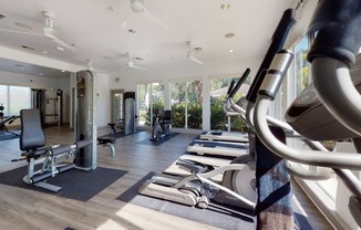 Modern Fitness Center at The Arbor Walk Apartments, Tampa, 33617