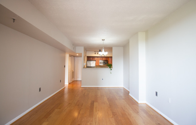 1001 N Randolph St.