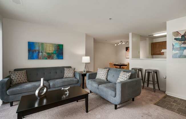 Modern Living Room at The Fields at Merrifield, Falls Church, Virginia