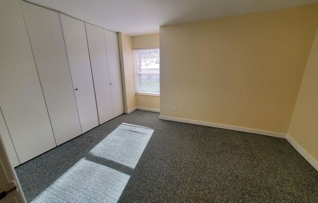 1 bed, 1 bath, 725 sqft, $625