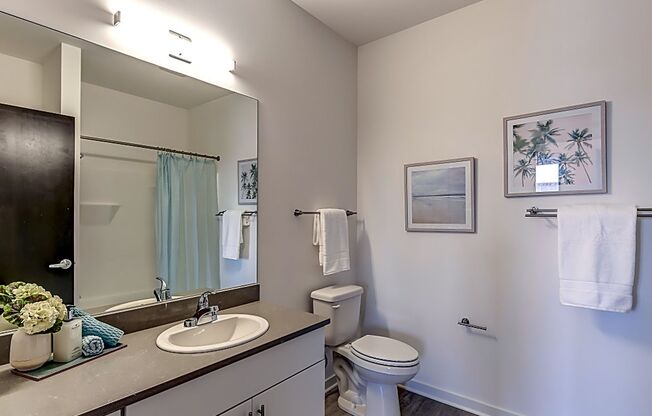 1 bed, 1 bath, 667 sqft, $1,595, Unit 210