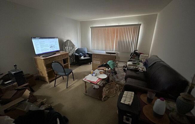 1 bed, 1 bath, $995, Unit 234